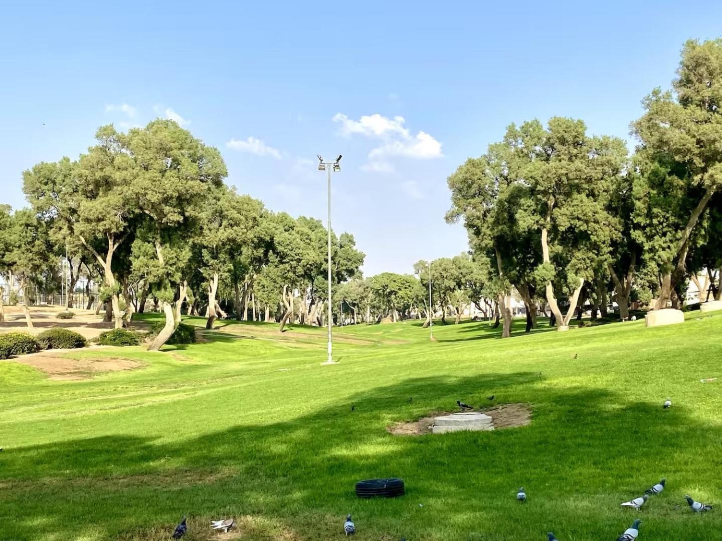 דירה יפיפיה! מיקום מעולה! אוניברסיטת בן גוריון, סורוקה, שוק, פארק! Daire Beersheba Dış mekan fotoğraf